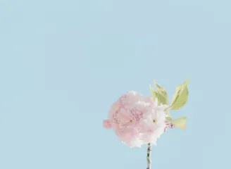28圈